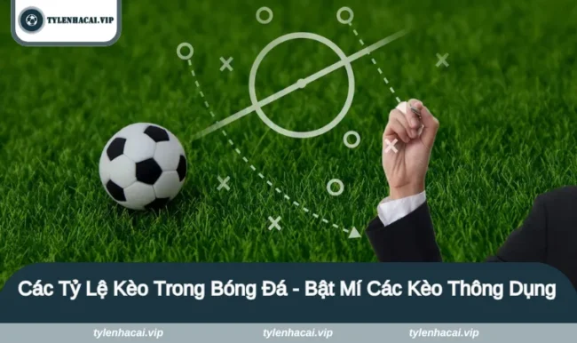 Các tỷ lệ kèo trong bóng đá