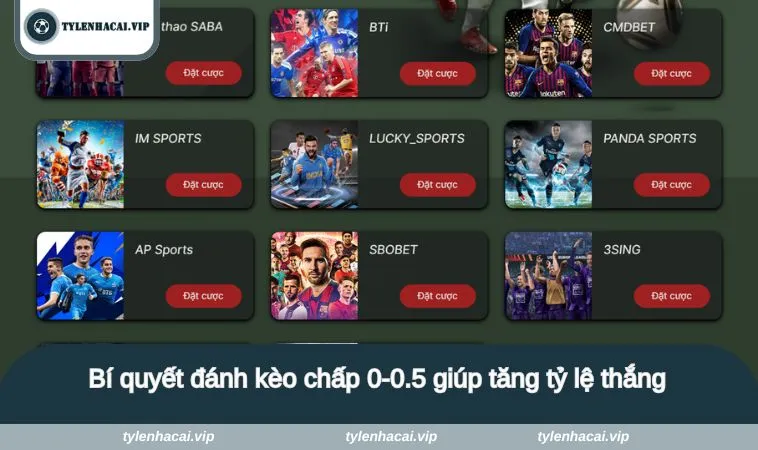 Bí quyết đánh kèo chấp 0-0.5 giúp tăng tỷ lệ thắng