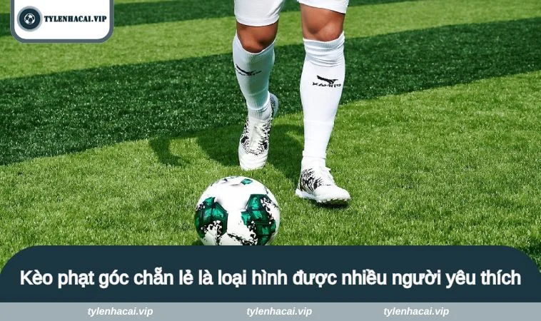Kèo phạt góc chẵn lẻ là loại hình được nhiều người yêu thích