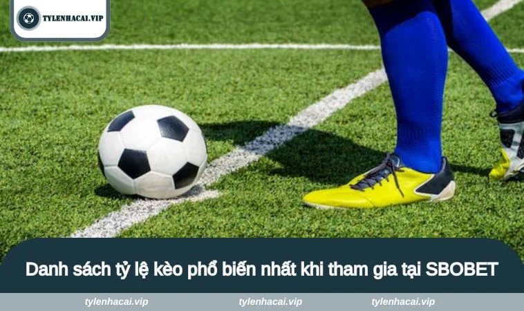 ty le keo sbobet 2 Danh sách tỷ lệ kèo phổ biến nhất khi tham gia tại SBOBET