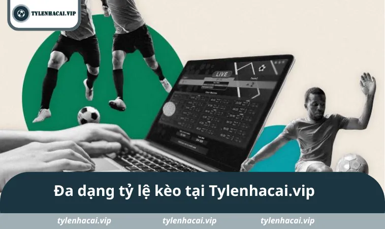 Đa dạng tỷ lệ kèo tại Tylenhacai.vip